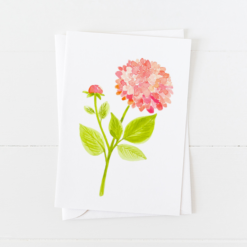 Pink Dahlia Greeting Card