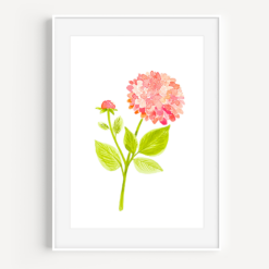 Pink Dahlia Watercolor - A Little Hello Co.