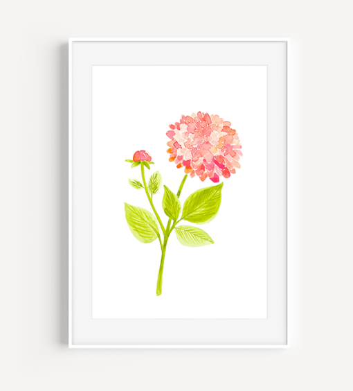 Pink Dahlia Watercolor - A Little Hello Co.