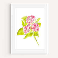 Pink Hydrangea - A Little Hello Co.