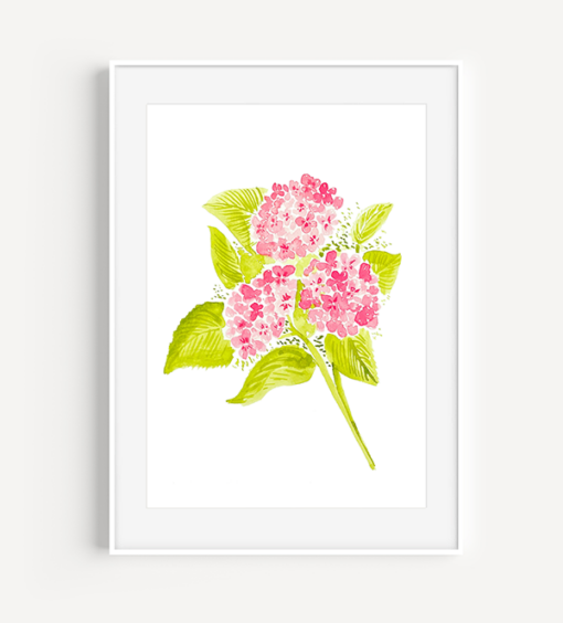 Pink Hydrangea - A Little Hello Co.