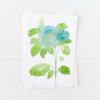 Blue Hydrangea Notecards