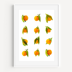 Orangy Oranges Watercolor Print